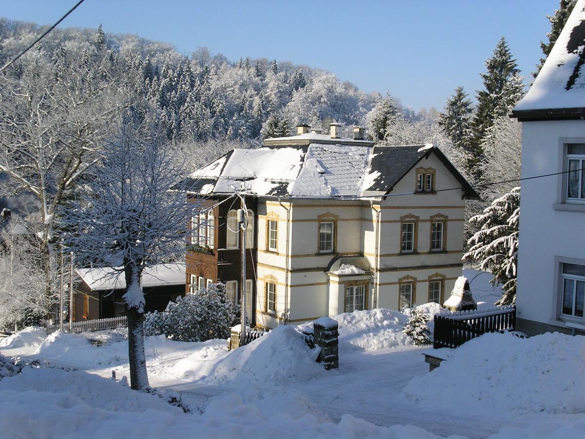 Villa Angelika Altenberg  Exteriér fotografie