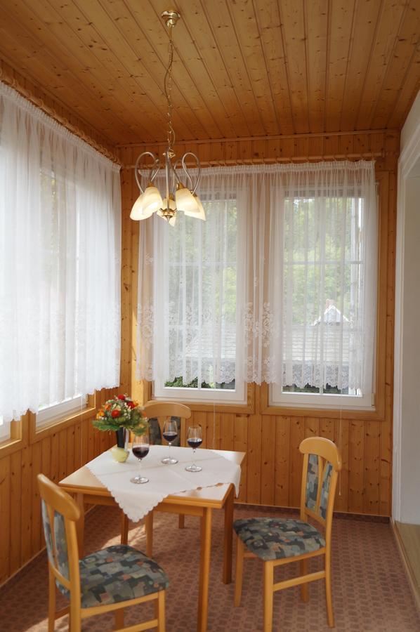 Villa Angelika Altenberg  Exteriér fotografie