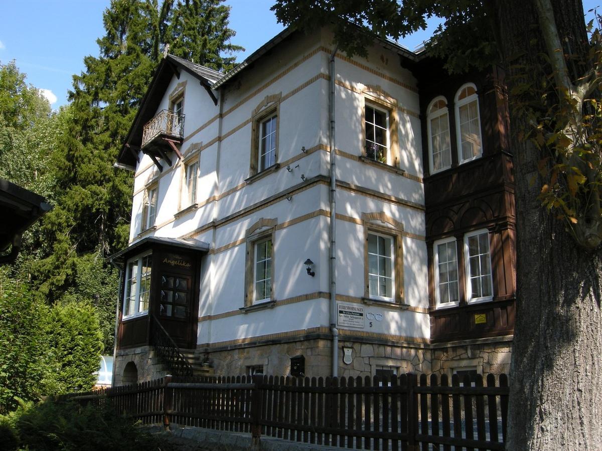 Villa Angelika Altenberg  Exteriér fotografie